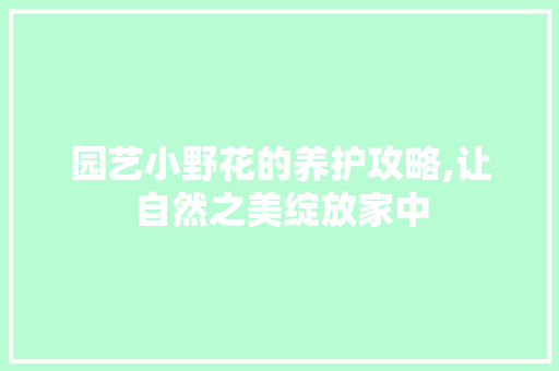 园艺小野花的养护攻略,让自然之美绽放家中