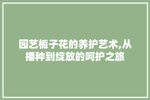 园艺栀子花的养护艺术,从播种到绽放的呵护之旅