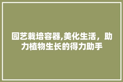 园艺栽培容器,美化生活，助力植物生长的得力助手