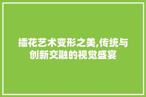 插花艺术变形之美,传统与创新交融的视觉盛宴