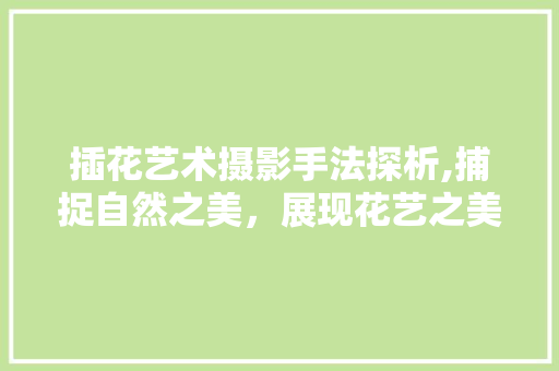 插花艺术摄影手法探析,捕捉自然之美，展现花艺之美