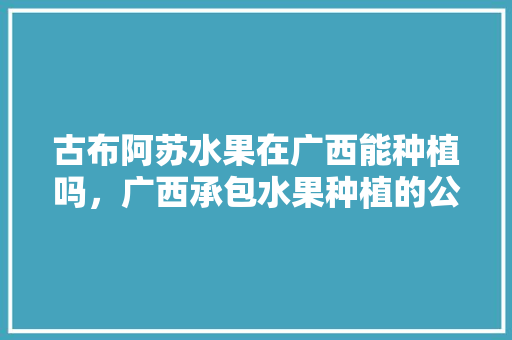 古布阿苏水果在广西能种植吗，广西承包水果种植的公司。