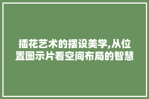 插花艺术的摆设美学,从位置图示片看空间布局的智慧 家禽养殖