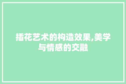 插花艺术的构造效果,美学与情感的交融 土壤施肥