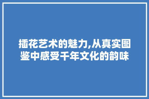 插花艺术的魅力,从真实图鉴中感受千年文化的韵味 蔬菜种植