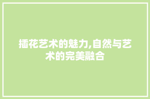 插花艺术的魅力,自然与艺术的完美融合 家禽养殖