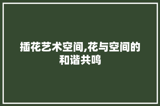 插花艺术空间,花与空间的和谐共鸣