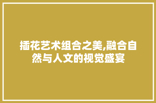 插花艺术组合之美,融合自然与人文的视觉盛宴