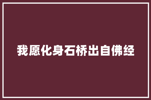 斜口碗插花,传统艺术的现代演绎