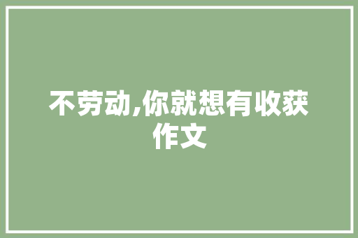 新娘手臂插花艺术的魅力,传递美丽与情感的独特语言