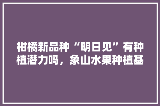 柑橘新品种“明日见”有种植潜力吗，象山水果种植基地。