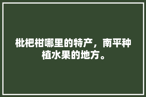 枇杷柑哪里的特产，南平种植水果的地方。