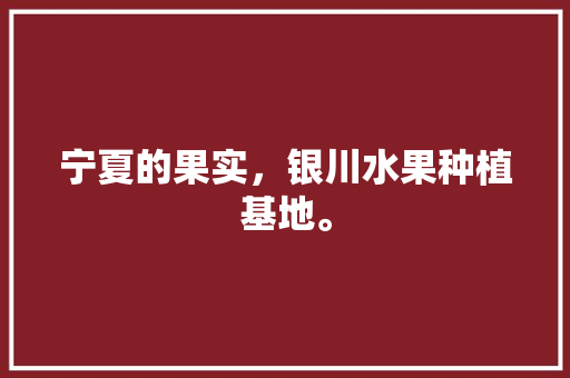 宁夏的果实，银川水果种植基地。