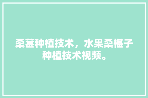 桑葚种植技术，水果桑椹子种植技术视频。