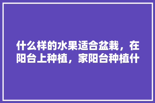 什么样的水果适合盆栽，在阳台上种植，家阳台种植什么水果最好。