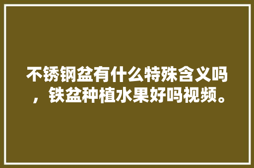 不锈钢盆有什么特殊含义吗，铁盆种植水果好吗视频。