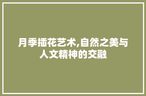 月季插花艺术,自然之美与人文精神的交融 家禽养殖