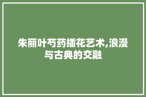 朱丽叶芍药插花艺术,浪漫与古典的交融 水果种植