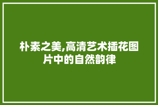 朴素之美,高清艺术插花图片中的自然韵律 畜牧养殖