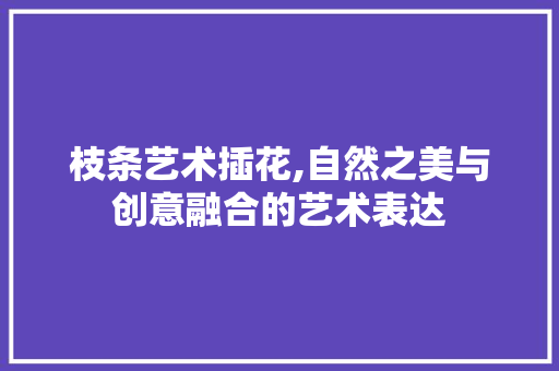 枝条艺术插花,自然之美与创意融合的艺术表达 水果种植