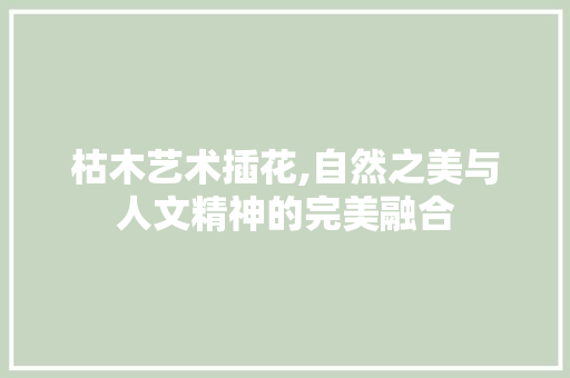 枯木艺术插花,自然之美与人文精神的完美融合 土壤施肥