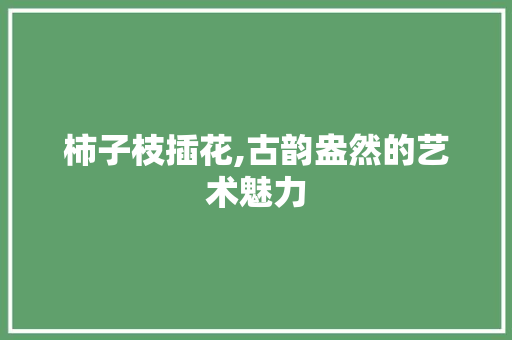 柿子枝插花,古韵盎然的艺术魅力 土壤施肥