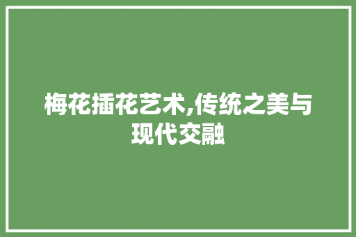 梅花插花艺术,传统之美与现代交融 土壤施肥