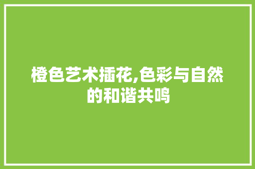 橙色艺术插花,色彩与自然的和谐共鸣 水果种植