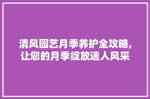 清风园艺月季养护全攻略,让您的月季绽放迷人风采 水果种植