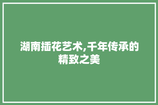 湖南插花艺术,千年传承的精致之美 水果种植