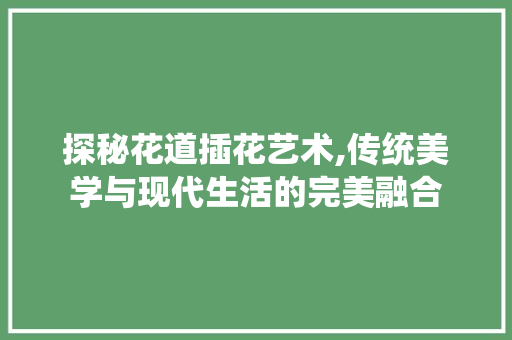 探秘花道插花艺术,传统美学与现代生活的完美融合