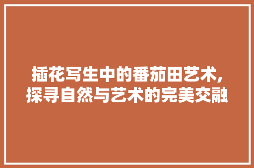 插花写生中的番茄田艺术,探寻自然与艺术的完美交融