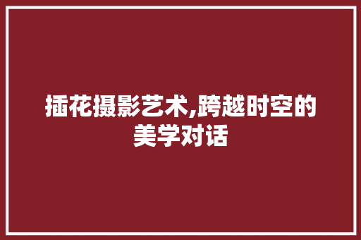 插花摄影艺术,跨越时空的美学对话