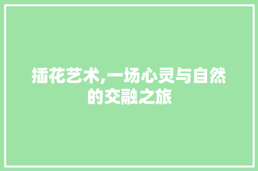 插花艺术,一场心灵与自然的交融之旅