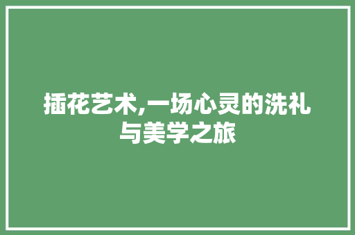 插花艺术,一场心灵的洗礼与美学之旅