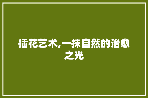 插花艺术,一抹自然的治愈之光