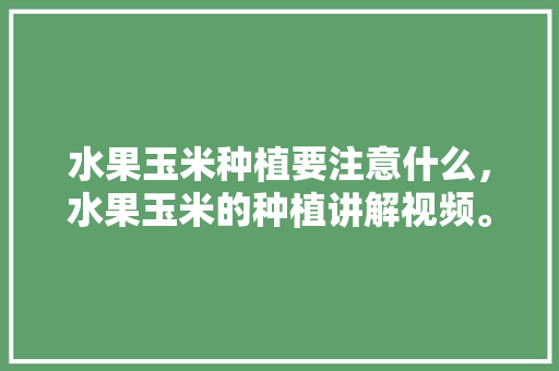 水果玉米种植要注意什么，水果玉米的种植讲解视频。 家禽养殖