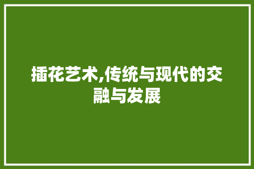 插花艺术,传统与现代的交融与发展