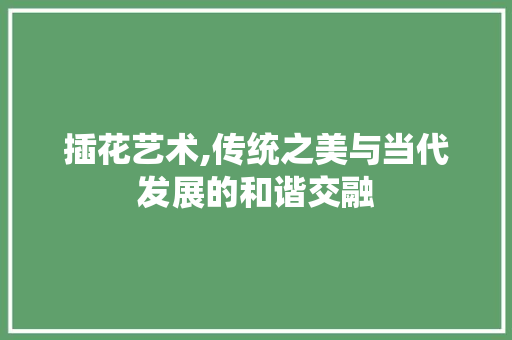 插花艺术,传统之美与当代发展的和谐交融