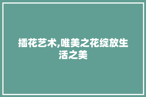 插花艺术,唯美之花绽放生活之美