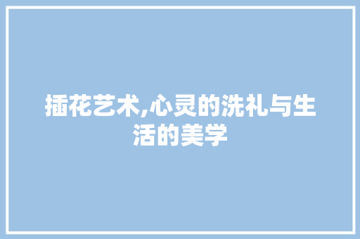 插花艺术,心灵的洗礼与生活的美学