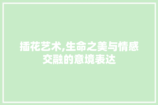 插花艺术,生命之美与情感交融的意境表达