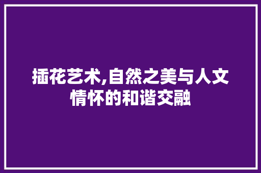 插花艺术,自然之美与人文情怀的和谐交融