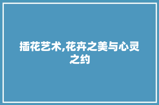 插花艺术,花卉之美与心灵之约