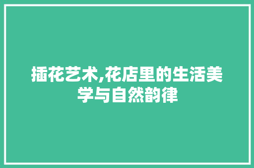 插花艺术,花店里的生活美学与自然韵律