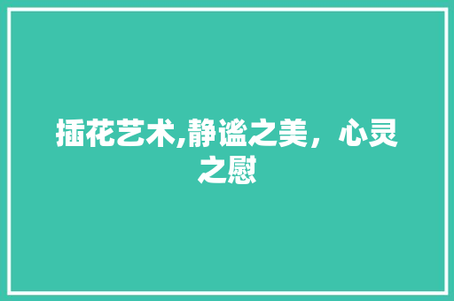 插花艺术,静谧之美，心灵之慰