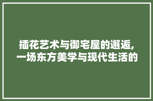 插花艺术与御宅屋的邂逅,一场东方美学与现代生活的交融之旅