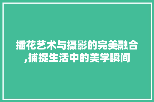 插花艺术与摄影的完美融合,捕捉生活中的美学瞬间