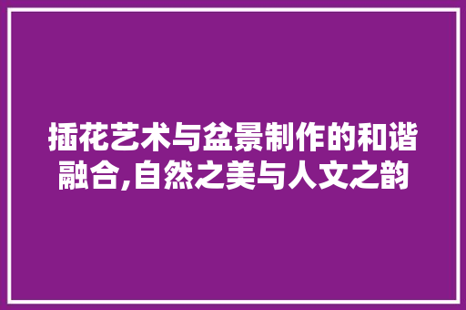 插花艺术与盆景制作的和谐融合,自然之美与人文之韵的完美邂逅