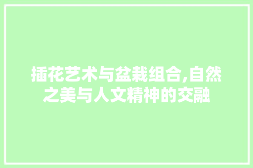 插花艺术与盆栽组合,自然之美与人文精神的交融